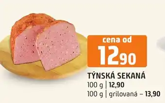 Terno TÝNSKÁ SEKANÁ nabídka