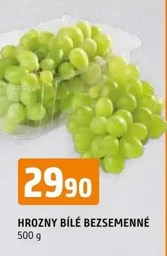 Terno HROZNY BÍLÉ BEZSEMENNÉ nabídka