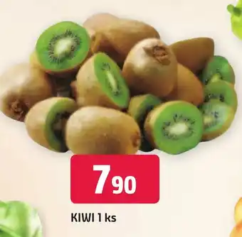 Trefa KIWI 1 ks nabídka