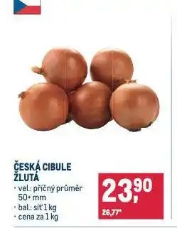 Makro Česká cibule žlutá nabídka