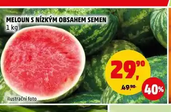 Penny Market Meloun nabídka
