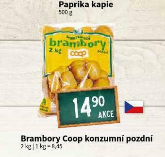 Terno Brambory konzumní pozdní nabídka