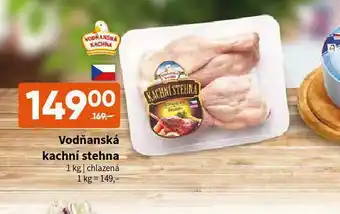 Terno Vodňanská kachní stehna nabídka