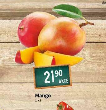 Terno Mango nabídka