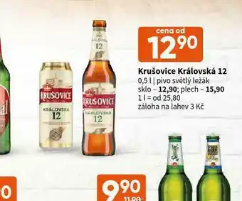 Terno Pivo krušovice královská 12 nabídka