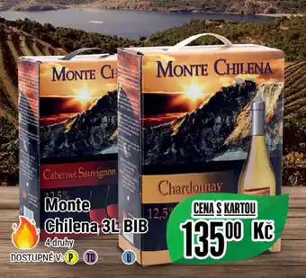 Monte Chilena 3L BIB