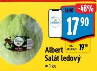 Albert Albert Salát ledový nabídka