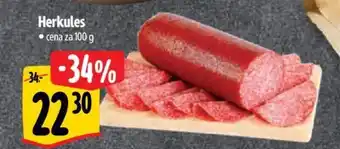 Albert Herkules nabídka