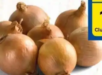 Tesco Cibule nabídka