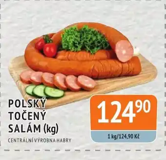 Coop hb POLSKÝ TOČENÝ SALAM (kg) nabídka