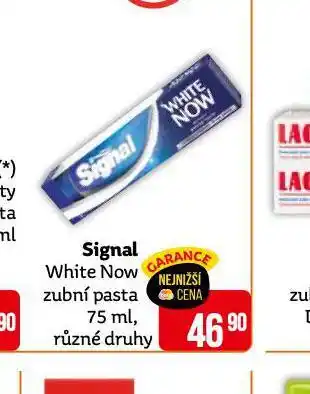 Teta Signal white now zubní pasta nabídka