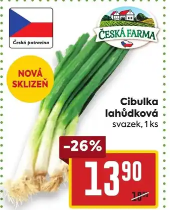 Billa Cibulka lahůdková nabídka