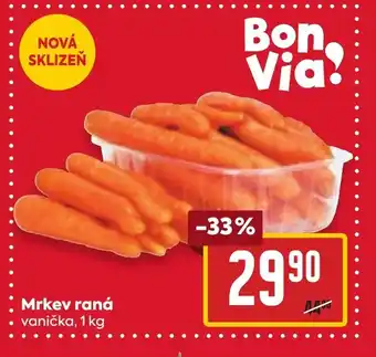 Mrkev raná