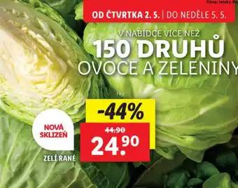 Lidl Zelí rané nabídka