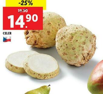 Lidl Celer nabídka