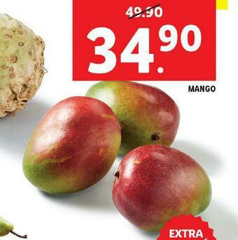 Lidl Mango nabídka