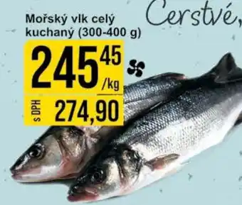 Jip Mořský vlk celý kuchaný (300-400 g) nabídka