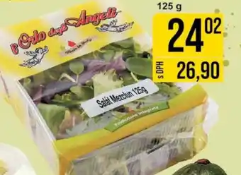 Jip Salat Mezclun 125g nabídka