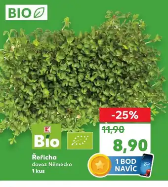 Kaufland Řeřicha nabídka