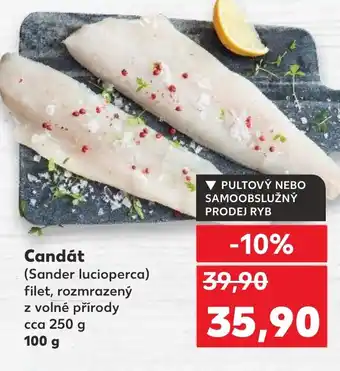 Kaufland Candát nabídka