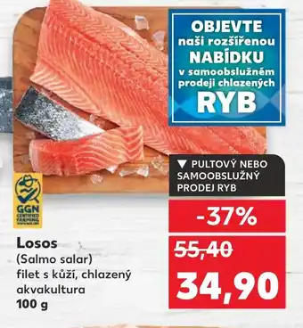 Kaufland Losos nabídka