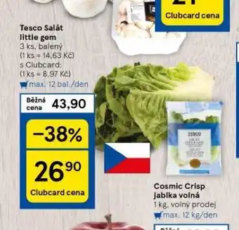 Tesco Salát little gem nabídka