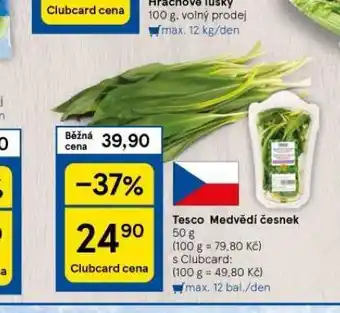 Tesco Medvědí česnek nabídka