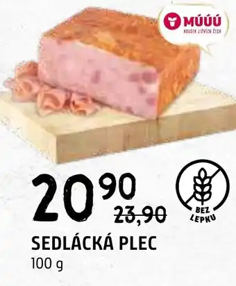 Terno SEDLÁCKÁ PLEC nabídka