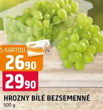 Terno HROZNY BÍLÉ BEZSEMENNÉ nabídka