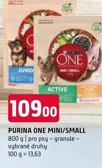 Terno PURINA ONE MINI/SMALL nabídka