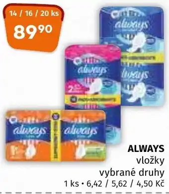 Terno ALWAYS nabídka