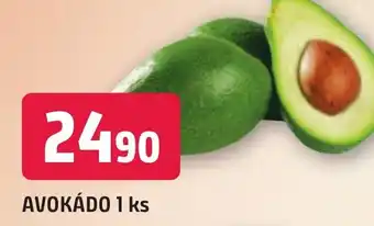 AVOKÁDO 1 ks