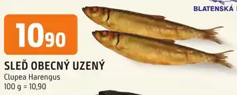 Trefa SLEĎ OBECNÝ UZENÝ nabídka