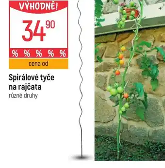 Globus Spirálové tyče na rajčata nabídka