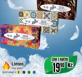 Tamda Foods Linteo nabídka