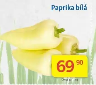 Kubík potraviny Paprika bílá nabídka