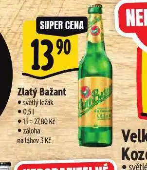 Albert Pivo zlatý bažant nabídka