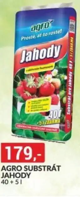 Baumax AGRO SUBSTRÁT JAHODY nabídka