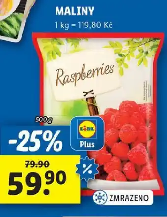 Lidl MALINY nabídka