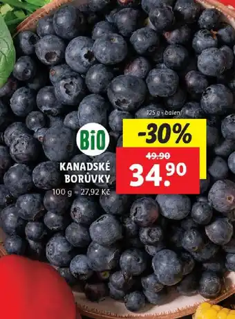 Lidl KANADSKÉ BORŮVKY nabídka