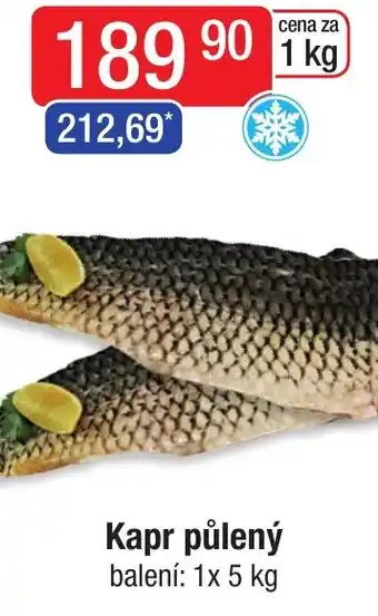 Qanto Kapr půlený nabídka