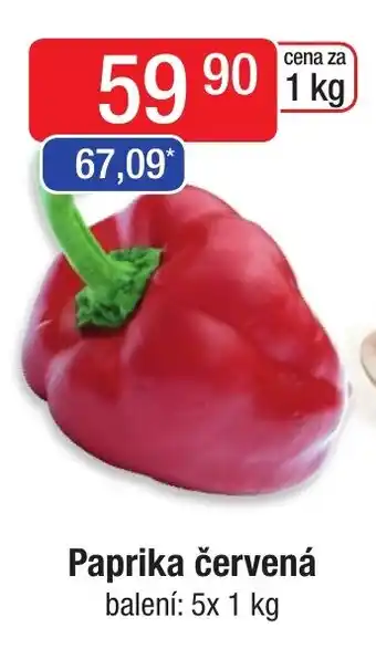 Qanto Paprika červená nabídka
