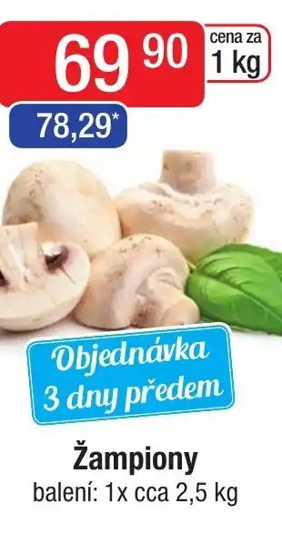 Qanto Žampiony nabídka