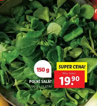 Lidl POLNÍ SALÁT nabídka