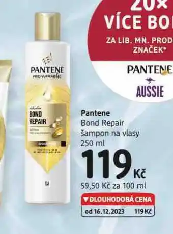 dm drogerie Pantene šampon nabídka