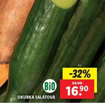 Lidl Okurka salátová nabídka