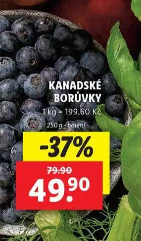 Lidl Kanadské borůvky nabídka