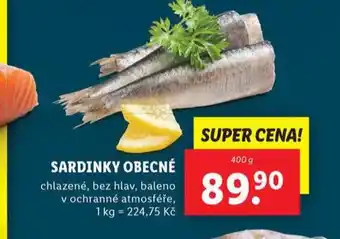 Lidl Sardinky obecné nabídka