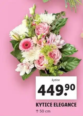 Lidl Kytice elegance nabídka