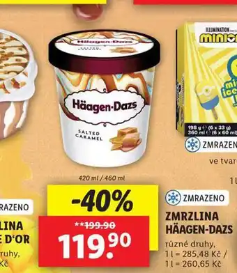 Lidl Zmrzlina haagen-dazs nabídka